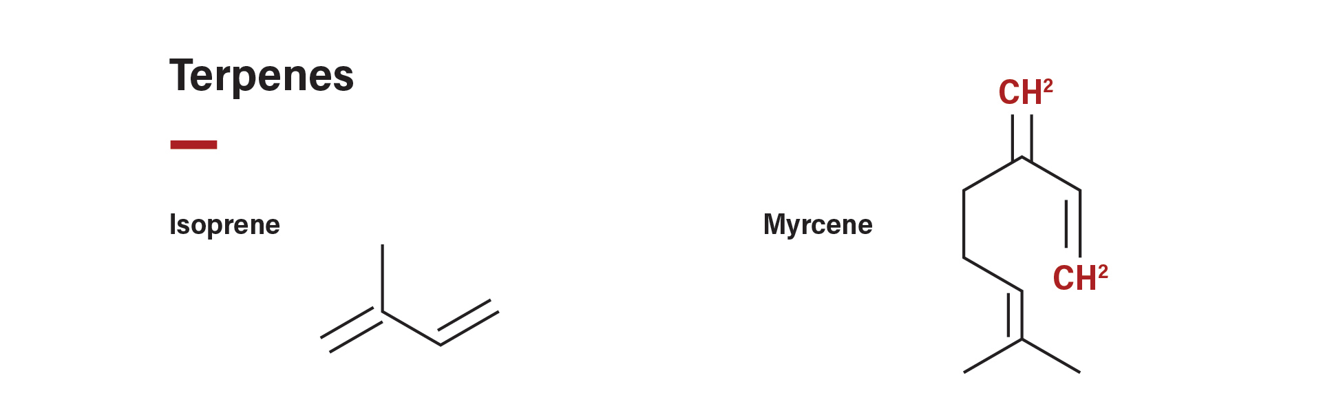 Do Terpenes Classify as Lipids? Terpene Classification • Floraplex Terpenes